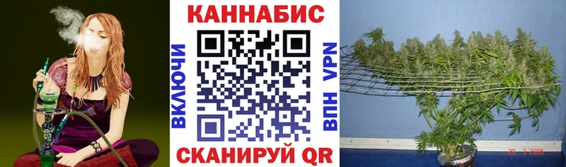 Где купить Елабуга Cocaine  blacksprut сайт  A PVP  ГАШИШ  МЕФ  Бошки Шишки  Амфетамин 
