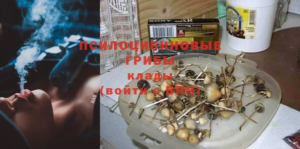 мяу мяу мука Верея