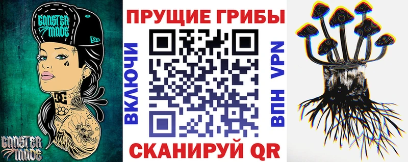 дарнет шоп  Елабуга  кракен ONION  Псилоцибиновые грибы MAGIC MUSHROOMS 