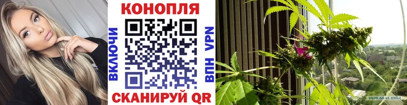 Конопля White Widow Елабуга