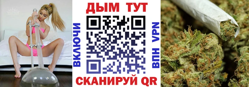 где купить наркоту  Елабуга  ссылка на мегу вход  Конопля ГИДРОПОН 